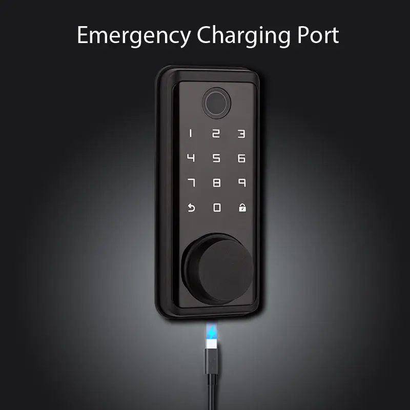 Tuya BLE Smart Aluminum Door Lock Biometric Fingerprint Security Anti-theft Digital Keyless Lock Smart Fingerprint Door Lock