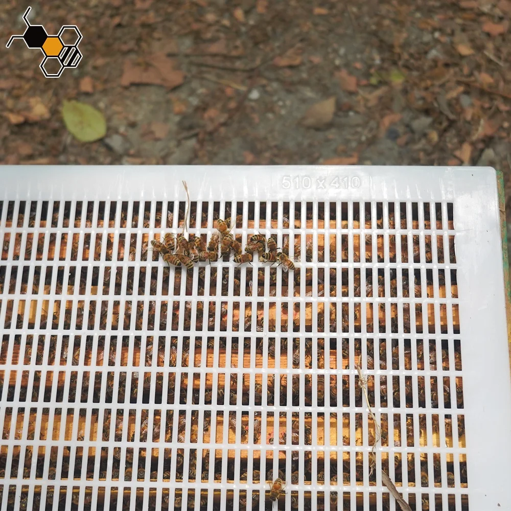 Bee Beekeeping Equipment Tools Material Excluidor De Plastico Queen Excluder Screen Plastic For Melifera