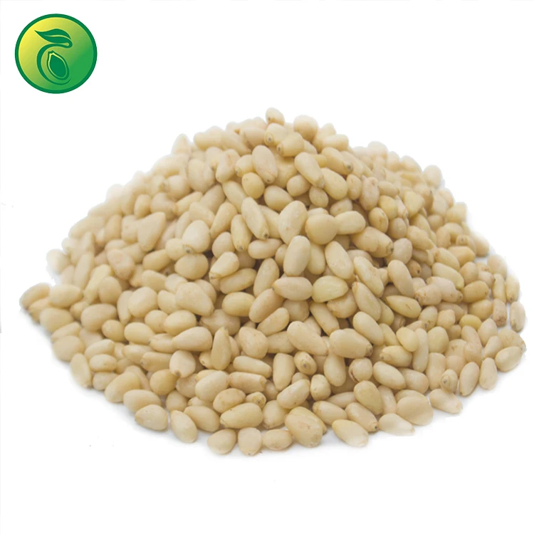 Pine Nuts Usa Pine Nuts Pakistan Pine Nuts Prices