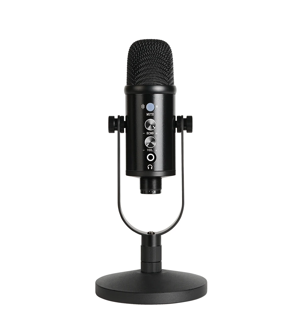 Professional studio home condenser recording microphone YR13