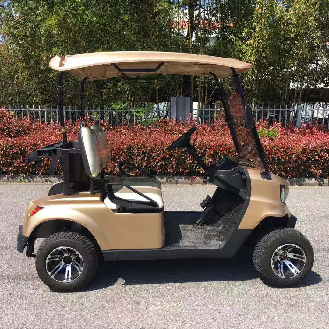 2-местный велосипед/детскй 4-колесный дешевый Электрический гольф-карт