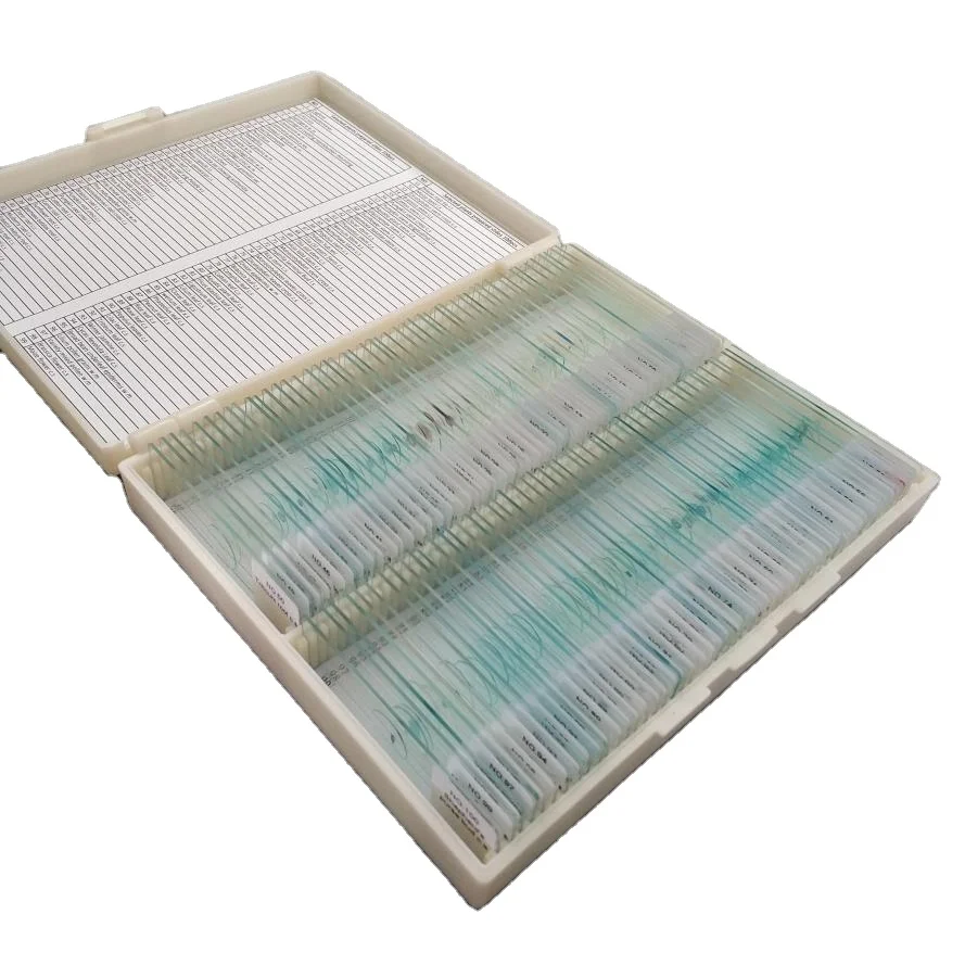Zoology Microscope Slides Prepared for Educational Prepared Slides 100pcs High Quality Slides Box