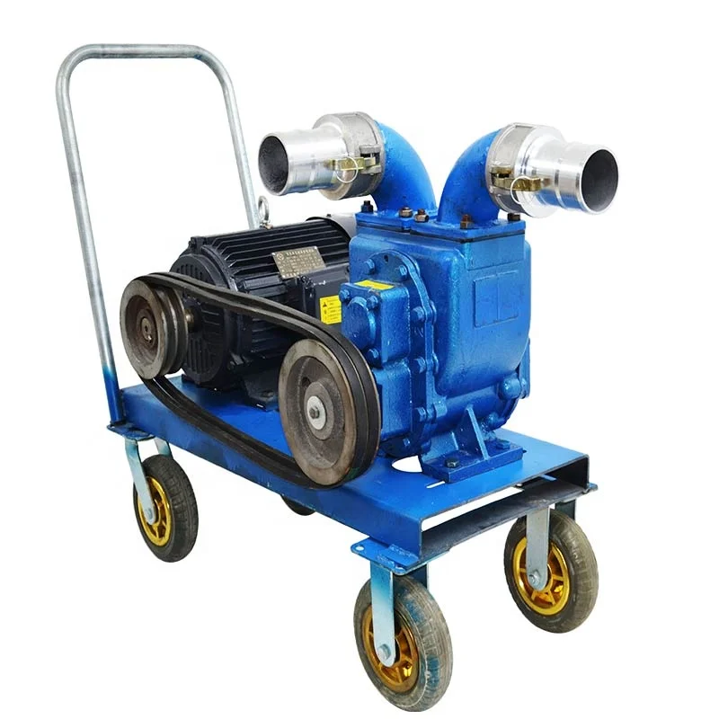 2.5 inch 2 inch Household Septic tank Non clogging sewage cement slurry pump automatic