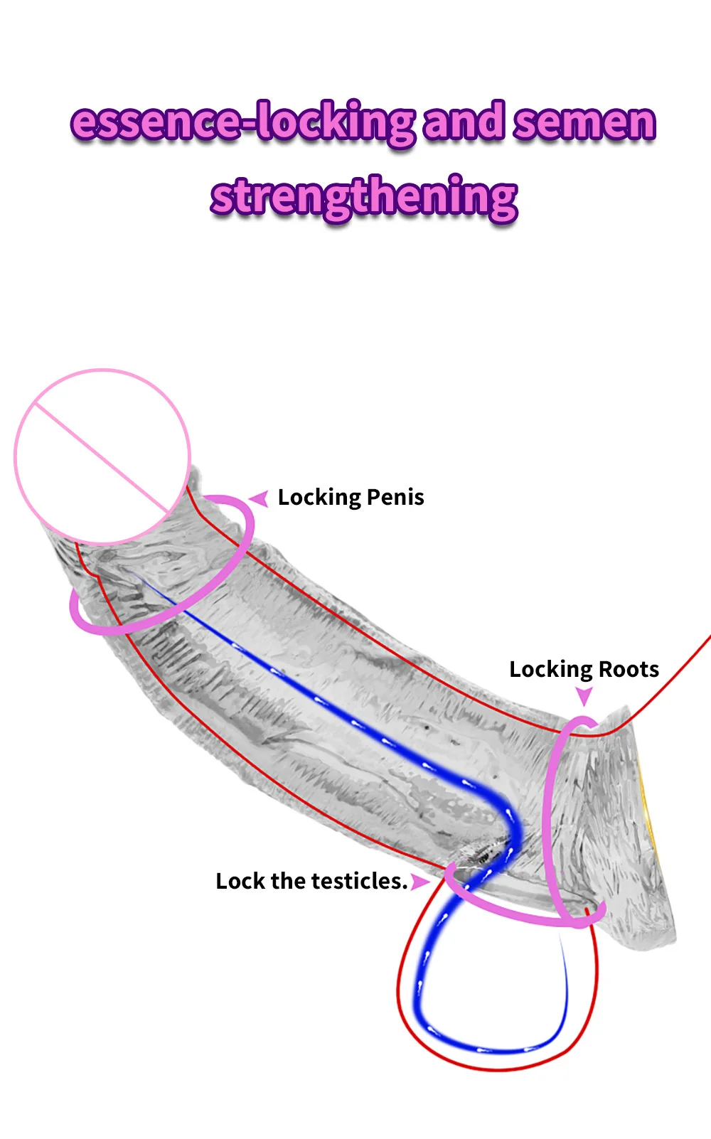 Penis condom (5).jpg