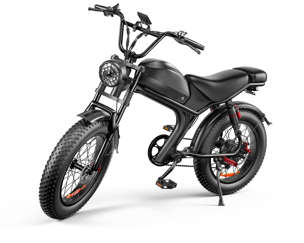 Reliable Quality warehouse C93 20 inch Wholesale Ebike 1000W 48v 20inch Mountain 1000w Fat Tire Electric Bikes