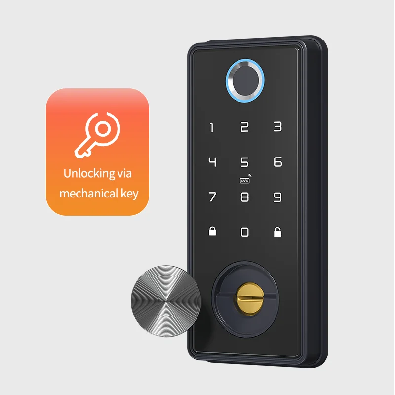 Locstar Wireless Password Biometric Fingerprint Tuya APP Intelligente Digital Cerradura Smart Deadbolt Lock Wood Door Guangdong