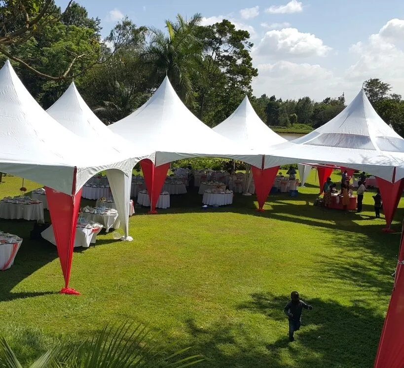 Wholesale Chinese Market Rectangle Style, High Quality Hot Selling Tent