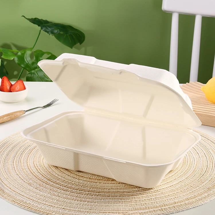 Wholesale Safety Custom Ecopack Box Disposable Biodegradable Paper Pulp Packaging Food Lunch Box with Lid