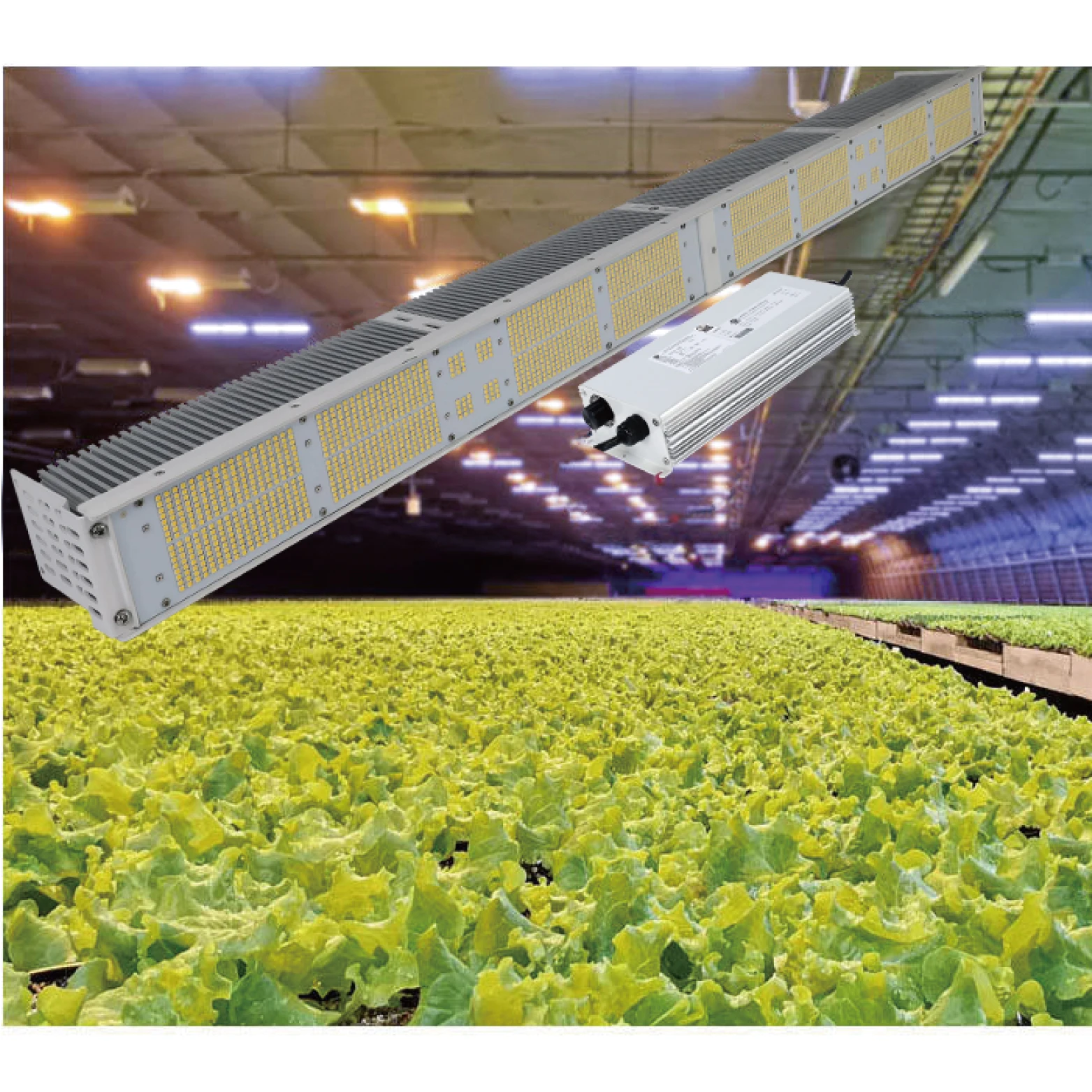 JK Slim Linear Type Dimmable One Bar Greenhouse Hydroponic Grow Light Full Spectrum Led 600w 300w For Indoor Plants