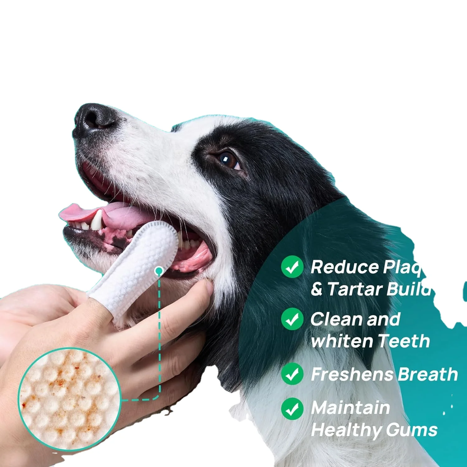 Custom Logo Organic Pet Dental Care Finger Plaque Tooth Wipes For Dogs & Cats