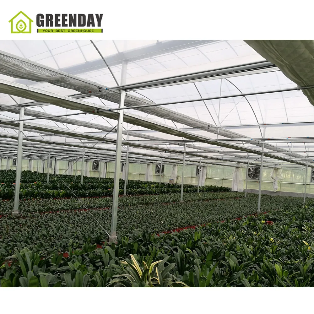 
GREENDAY Low cost galvanized steel pipe used greenhouse polytunnel greenhouse for plant growth 