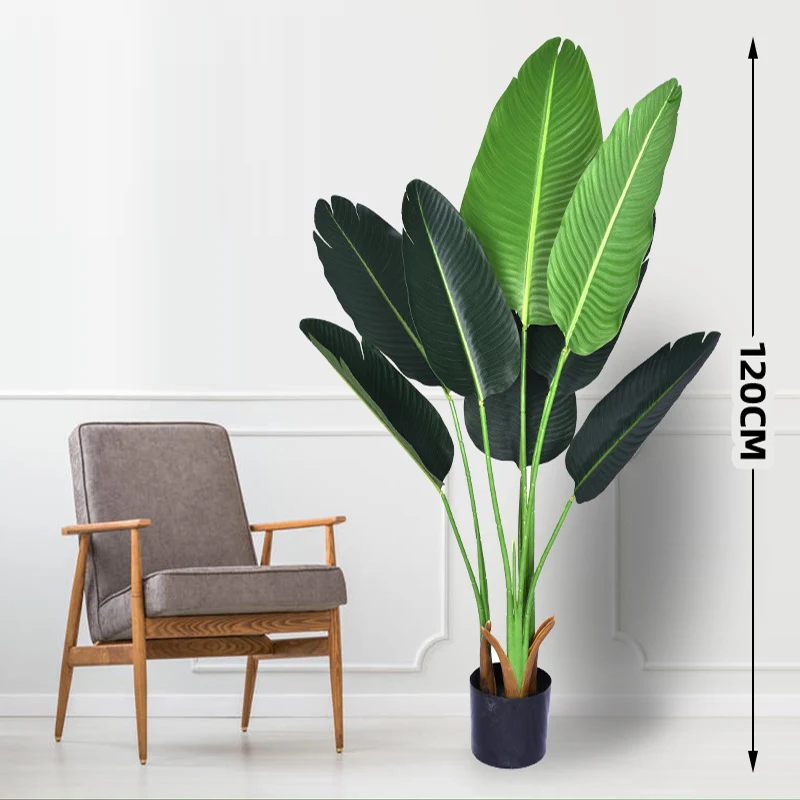 Indoor decoration of plants of different style and  height