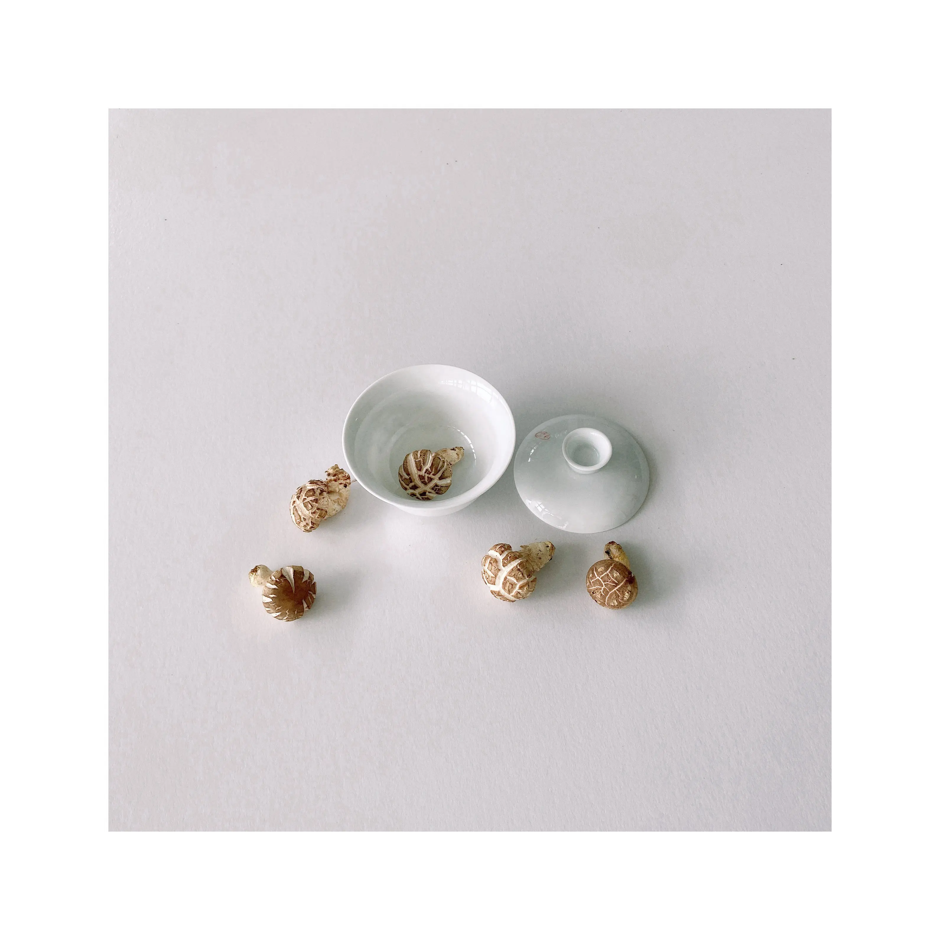 Wholesale High Quality Buy Mini Dried Fresh Shiitake Mushrooms