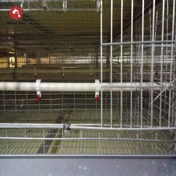 Broiler poultry feeding used automatic h type chicken broiler cage