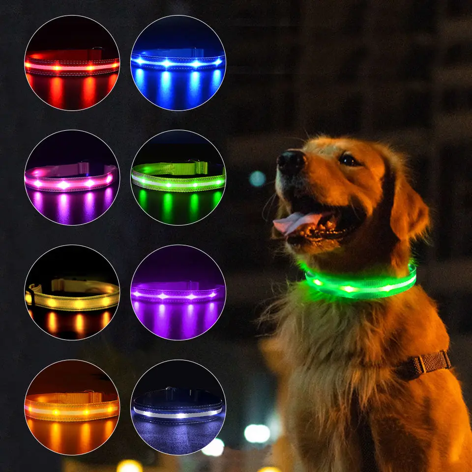 wholesale stock Popular USB charging light pet collar LED flash dog walking collar for dog cat