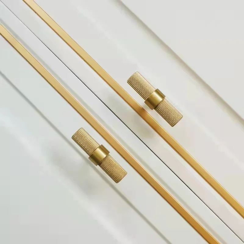 H-B02xq11.jpg