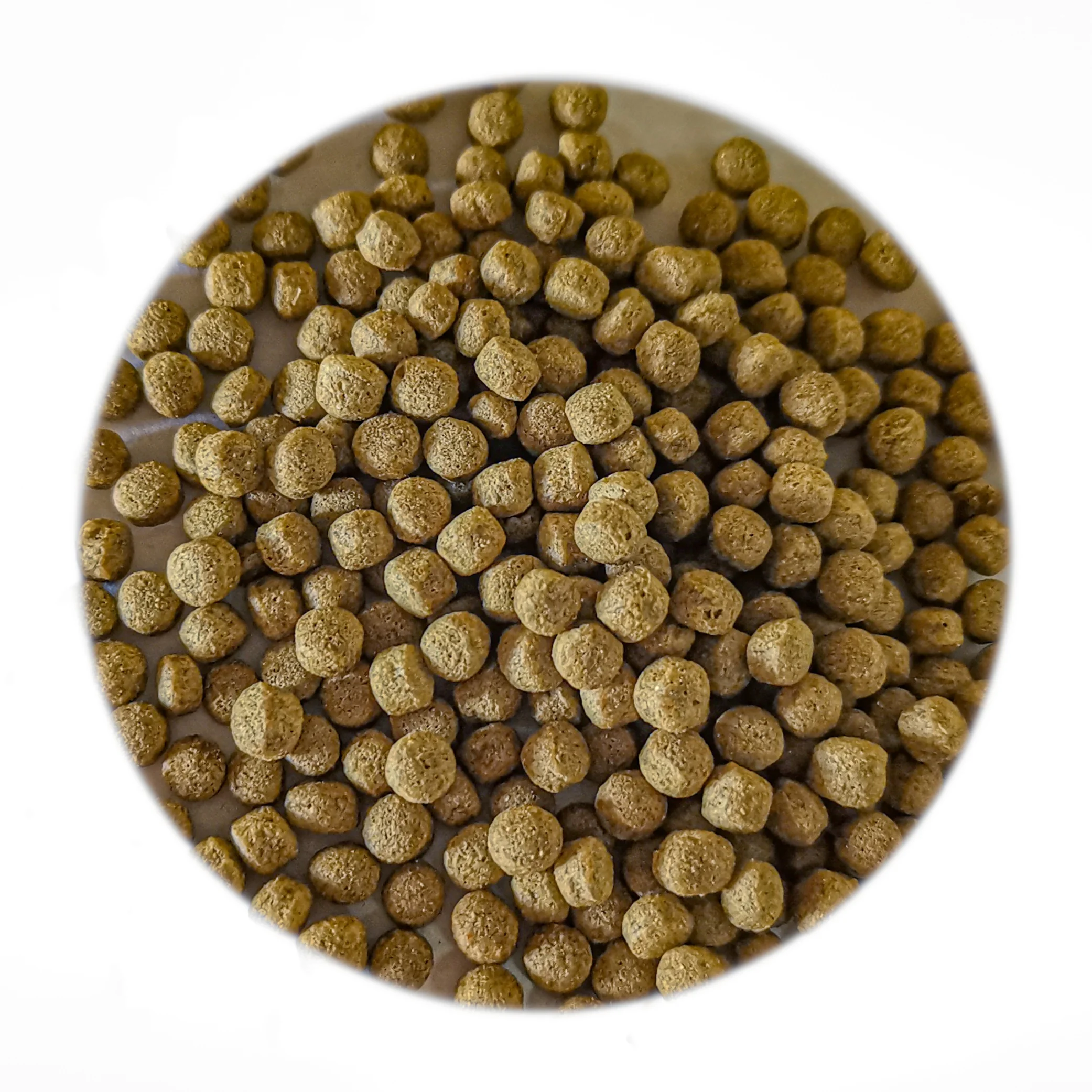 Support Customized High-nutrition, High-protein, and Various Particle Size Koi Growth Pellets for Fish