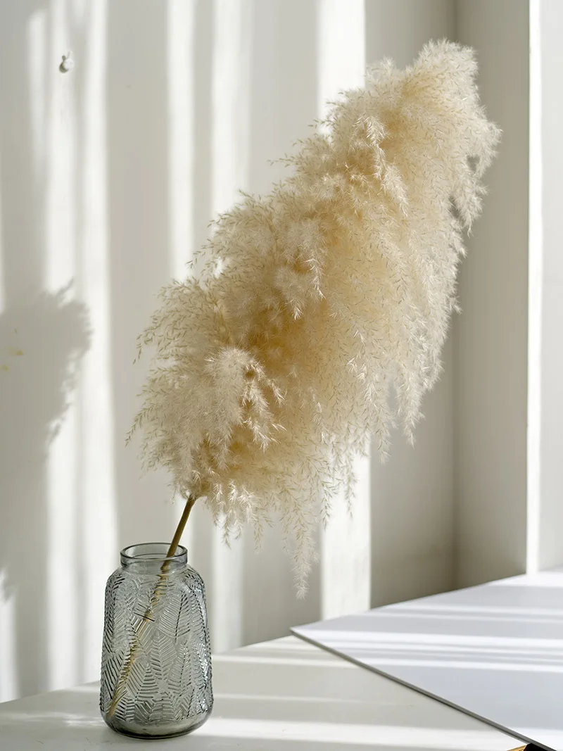 2022 wholesale natural real dried pampas low price fluffy large pampas grass for home wedding indoor decoration