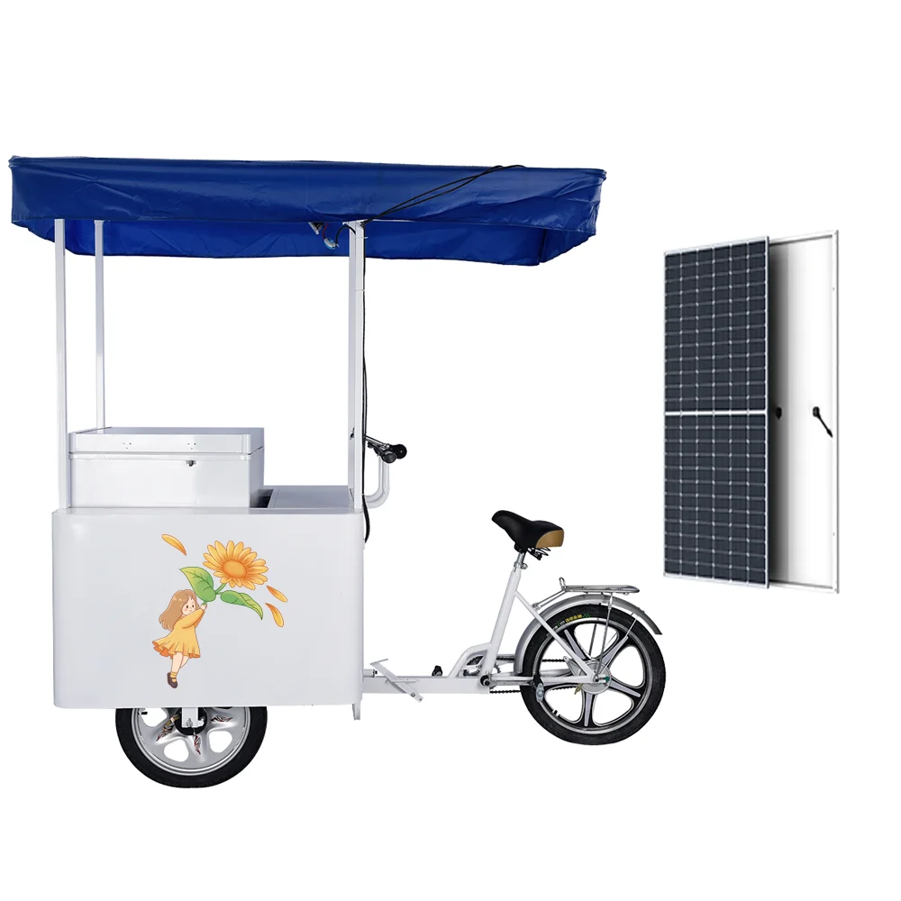 Трехколесный велосипед для мороженого с тремя колесами 20 дюймов, л, Солнечная морозильная камера с питанием от солнечной энергии, морозильник постоянного тока, эффективный и прочный