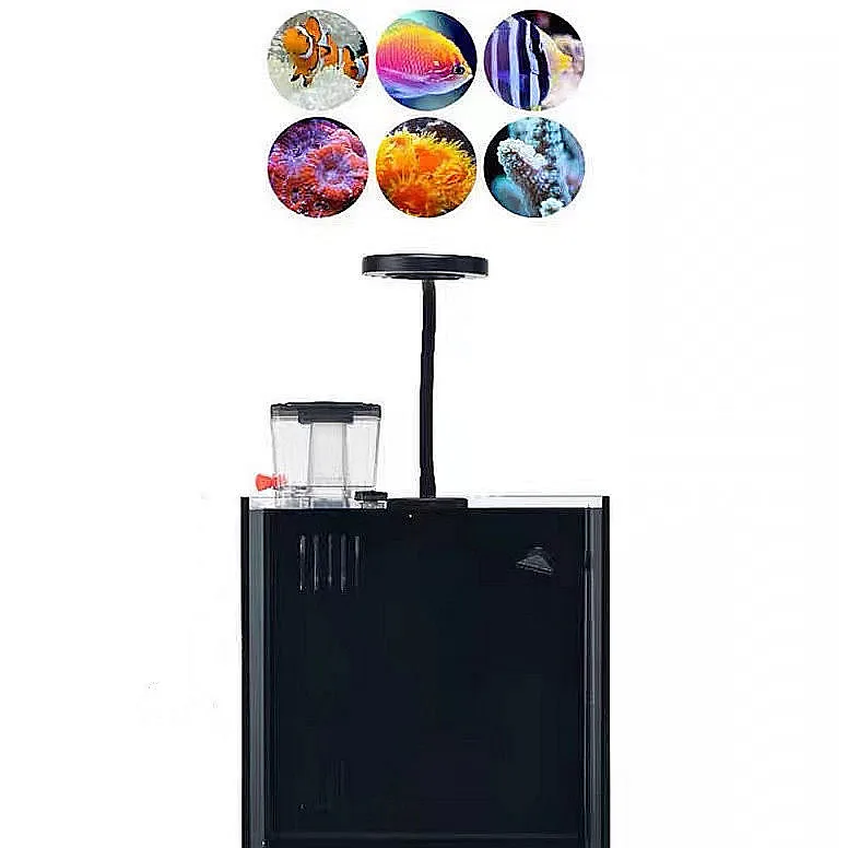 Ultra Clear Glass Mini Salt Water Marine Aquarium Fish Tank For Marine