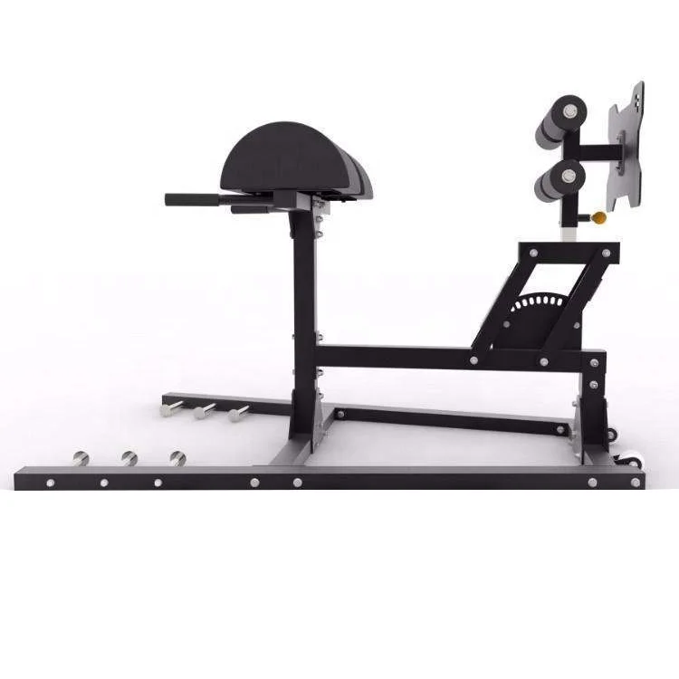 Factory Wholesale Fitness Equipment Gym Glute Ham Developer Adjustable Dumbbell Roman Bench