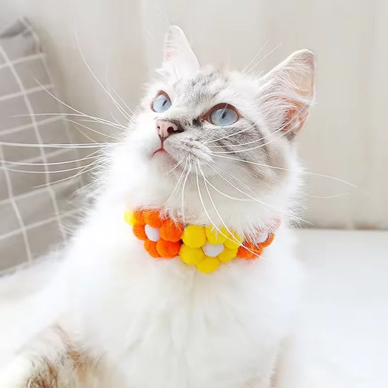 Custom Wholesale cat accessories leash pet Harness new cat collar