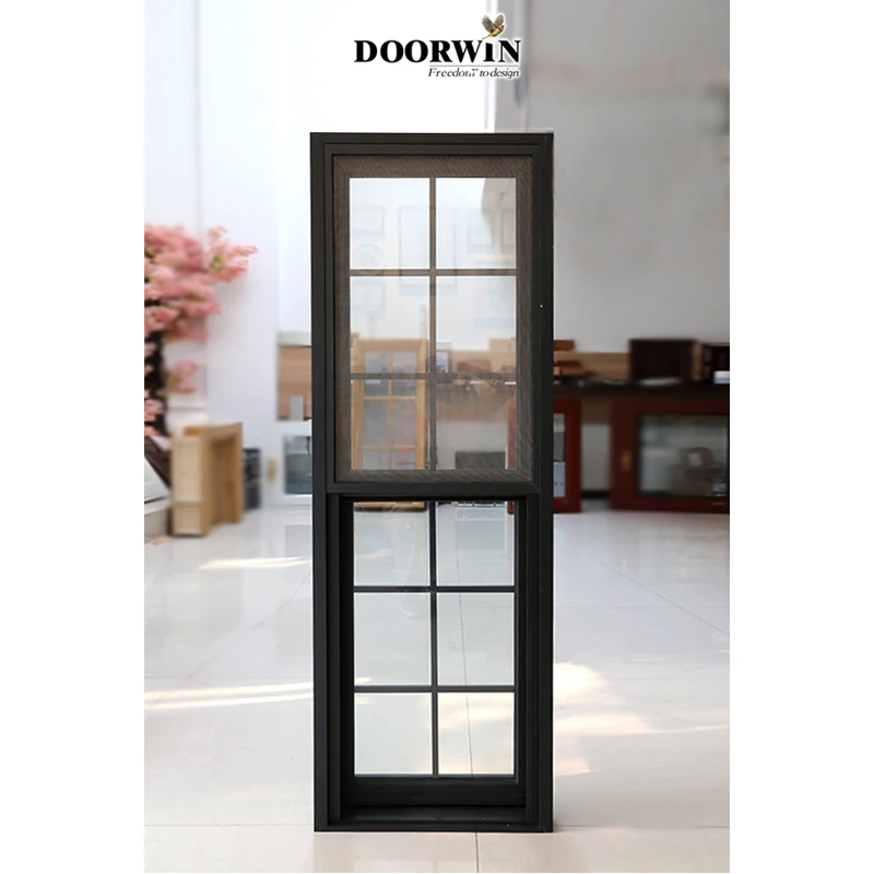 Doorwin China Manufacturers Of Windows Modern House Window Design Alumuinum Single & Double Hung Window