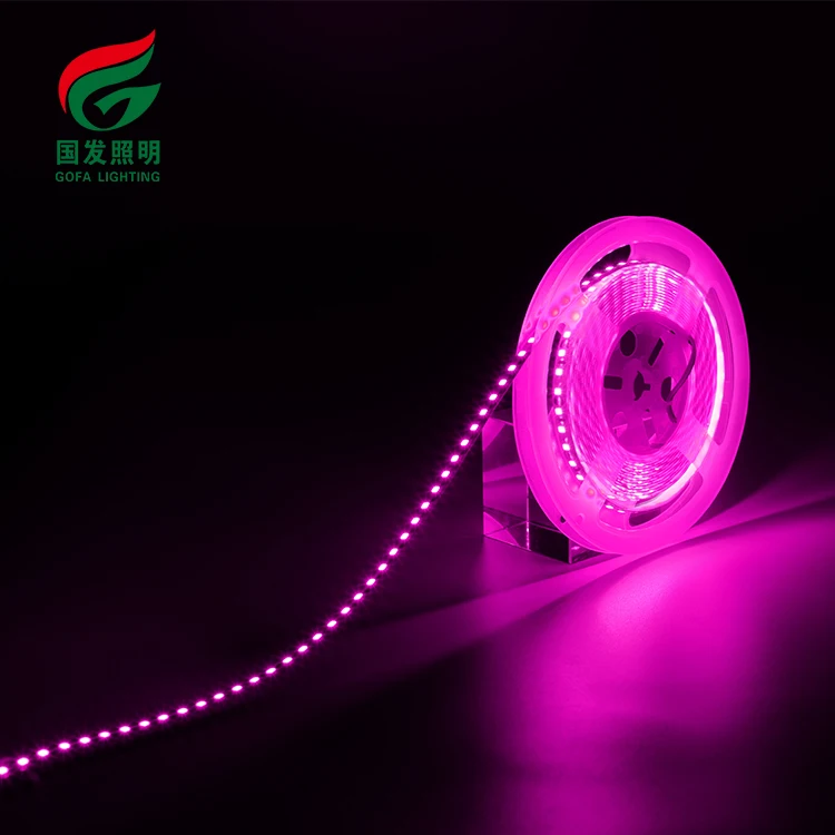 Smart Light Bar High Quality 5M Roll Smd 2835 Flexible Dc 12V 24V Led Strip Light