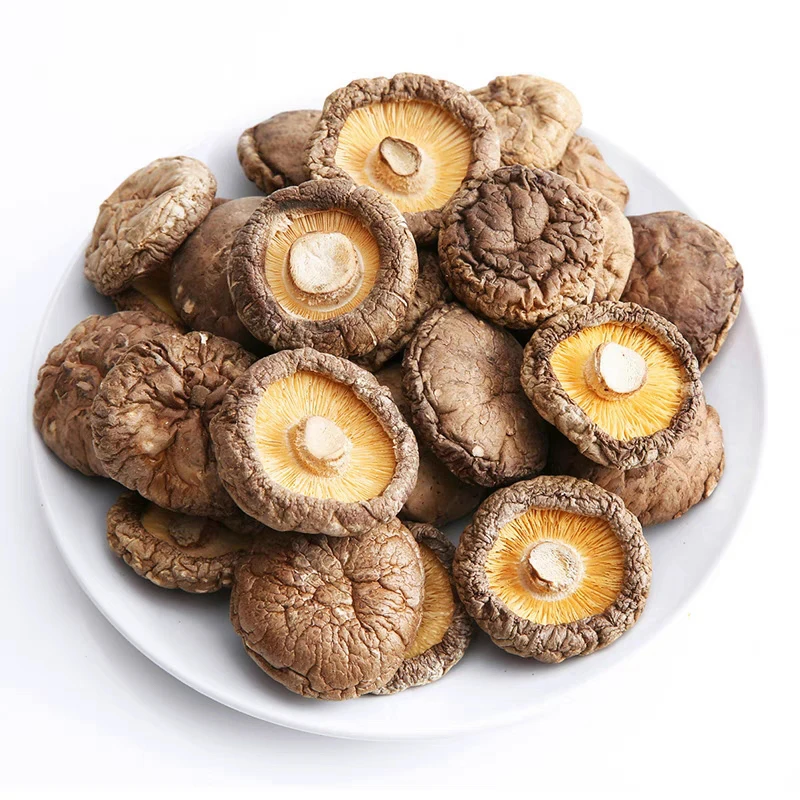 Hot Sale Wholesale Export Dried Shiitake Mushrooms in China