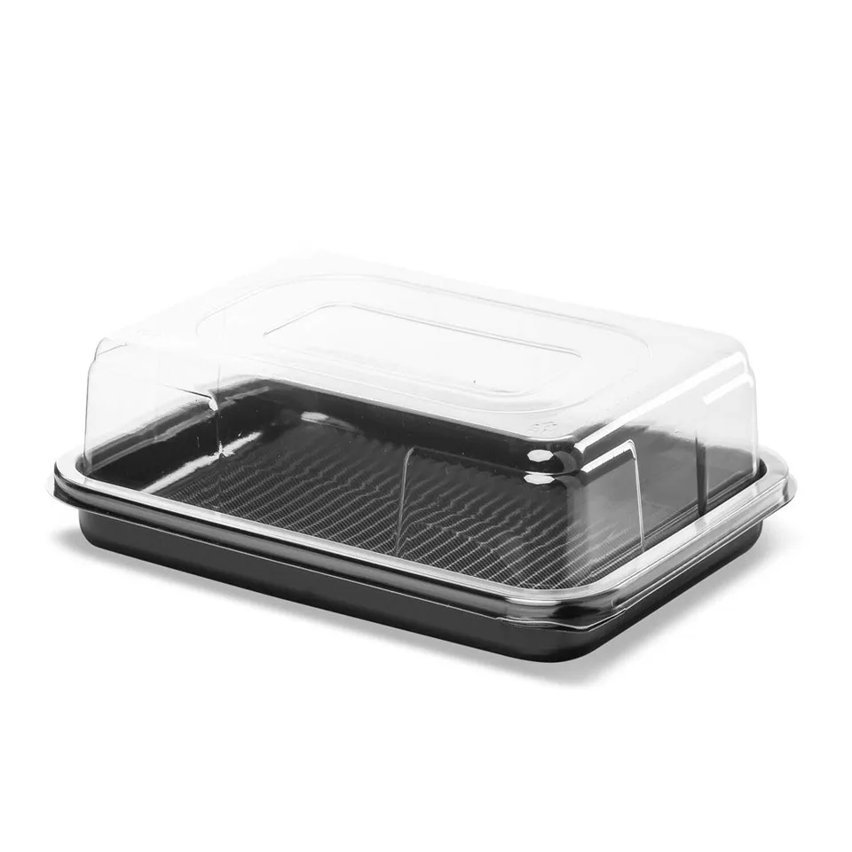 
10 Large Rectangle Food Sandwich Platter, Stackable, Disposable & Reusable| Clear Lid Cover, Durable Plastic Trays 