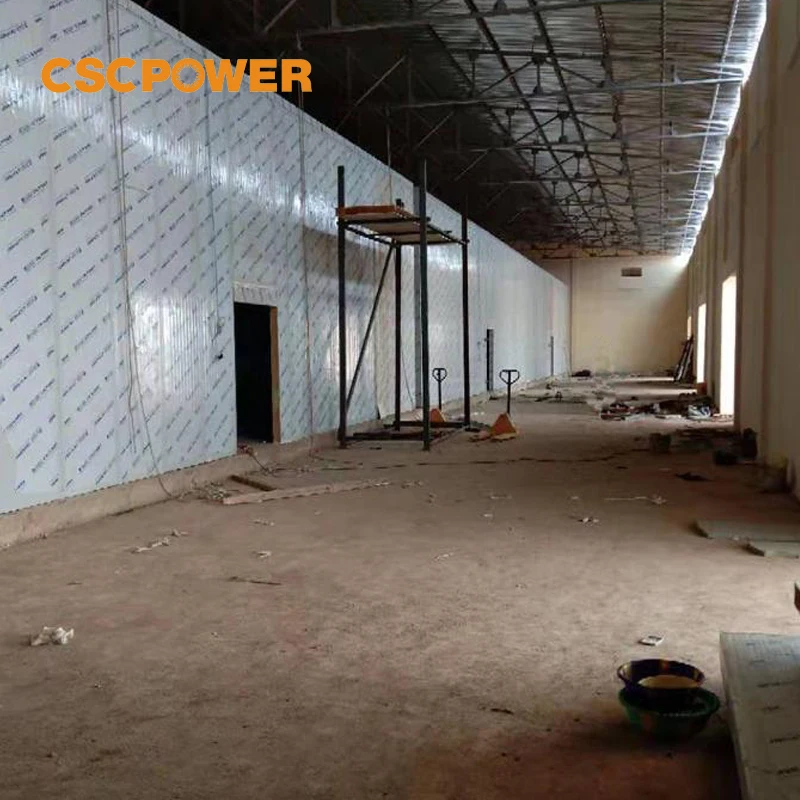 Cold Storage Solar Powered Industrial For Meat Vegetable Fish and Fruit Storage Walk in Freezer Solar Cold Room Freezer