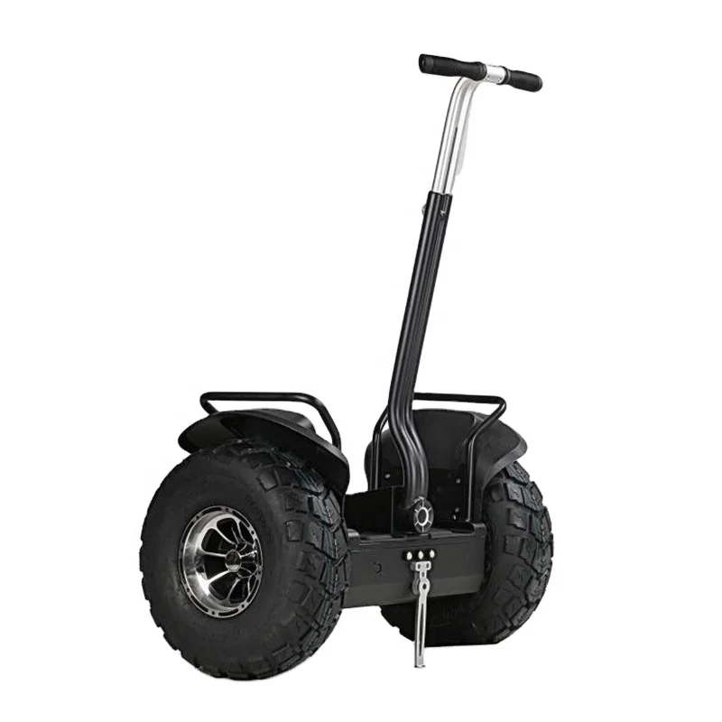 48V 2000W 19 Inch Fat Tire Electric Convenient Covered Self Balanced Scooter Electric Kick Scooters & Foot Scooters