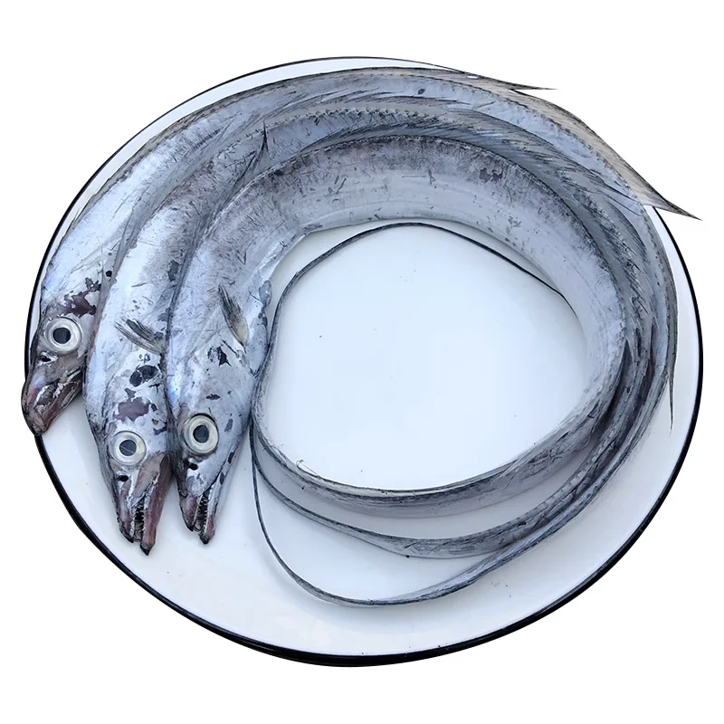 China High Quality salted Dried Largehead Hairtail Fish/Dried Ribbon Fish Delicious Seafood
