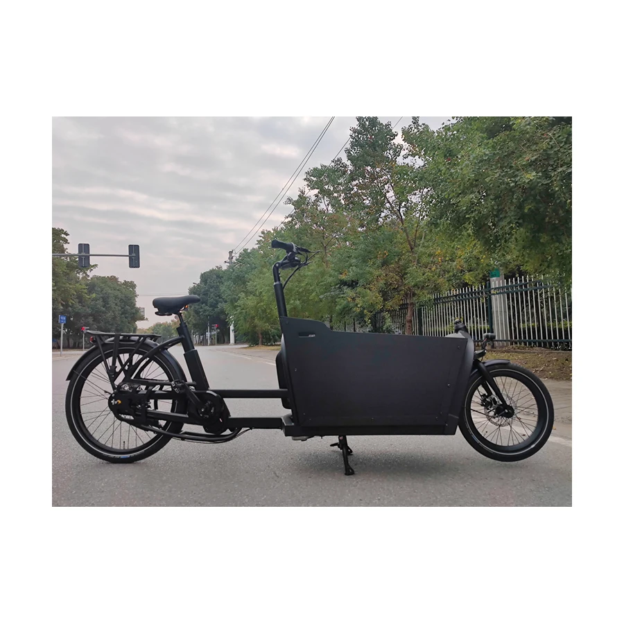 Import Best Two Wheel Electric Family Ebike Cargo Ebike Cargo Bike For Sale