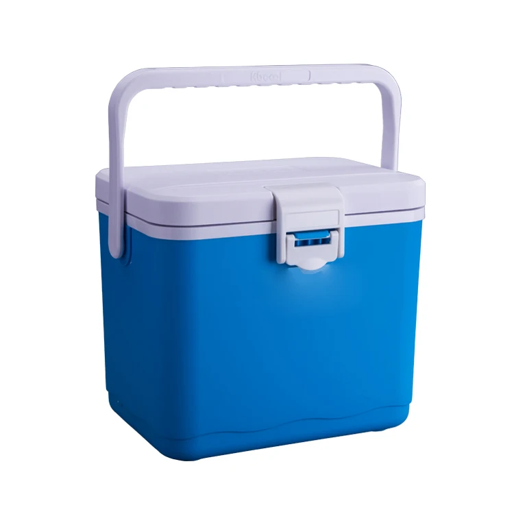 
Milk Cooler Box Camping Beach Picnic Small 5L Ice Box Food Insulated Travel Ice Chest Medicine 