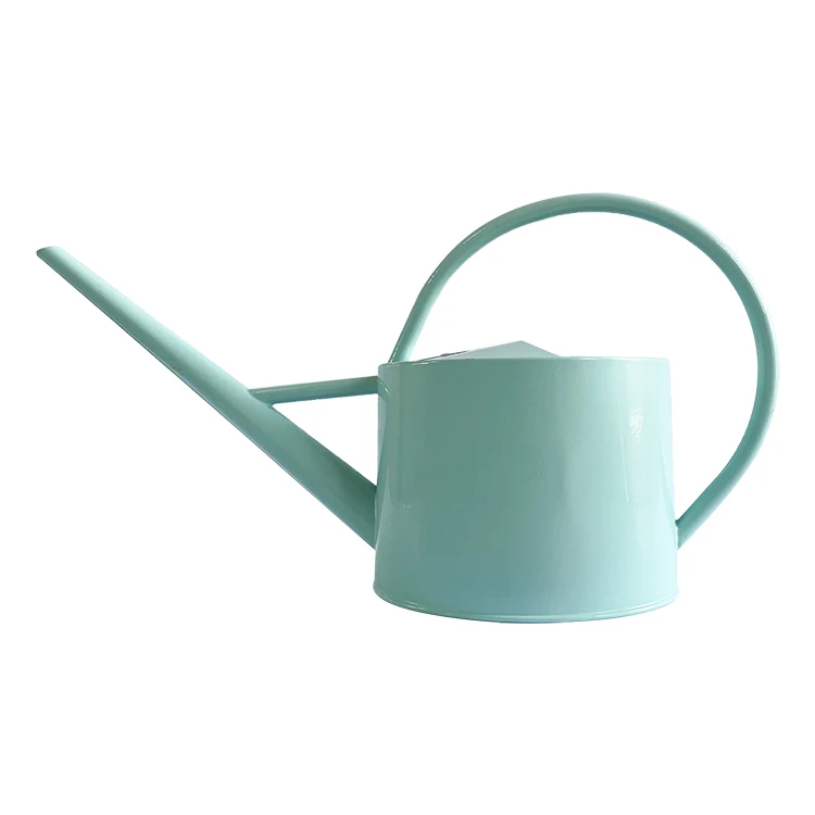 Standard or custom 2L galvanized steel watering can for garden or indoor