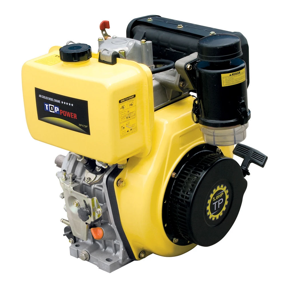 TP173F 4KW Diesel Engine 5HP Vertical Engine 250cc 4 Stroke Engine For Agricultural Pump