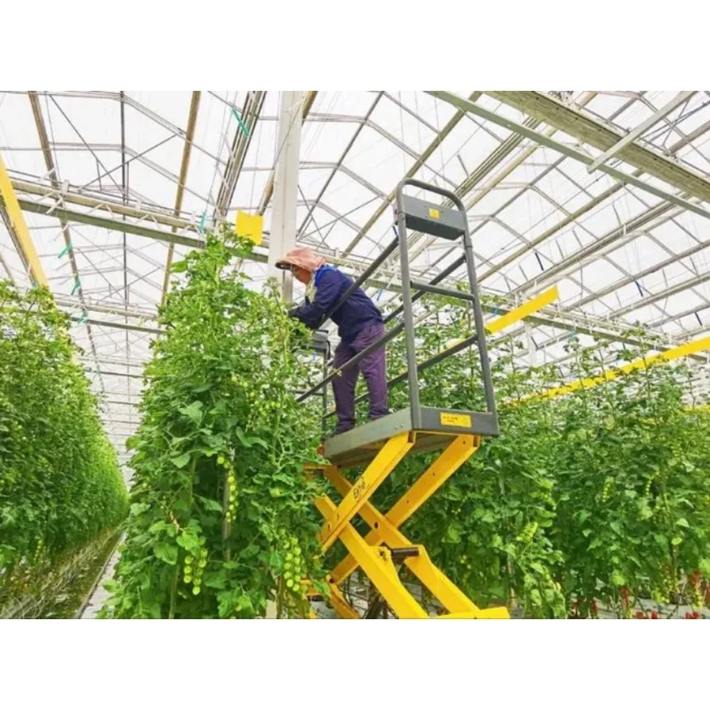 Passive solar greenhouse tunnel greenhouse for sale