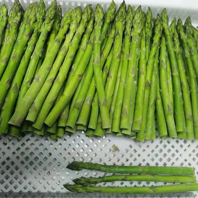 2022 new crop Fresh Frozen Premium Healthy Delicious Frozen Green Asparagus Frozen Vegetables