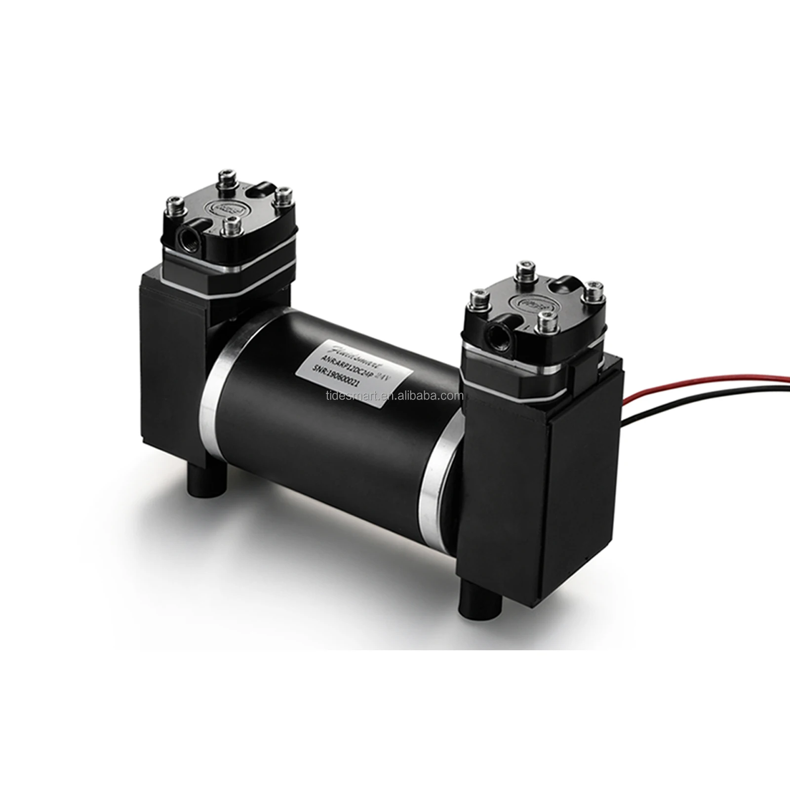 ARP12DC24P high pressure stainless piston pump 30L/min oilless rocking piston pump 24v double piston vacuum pump