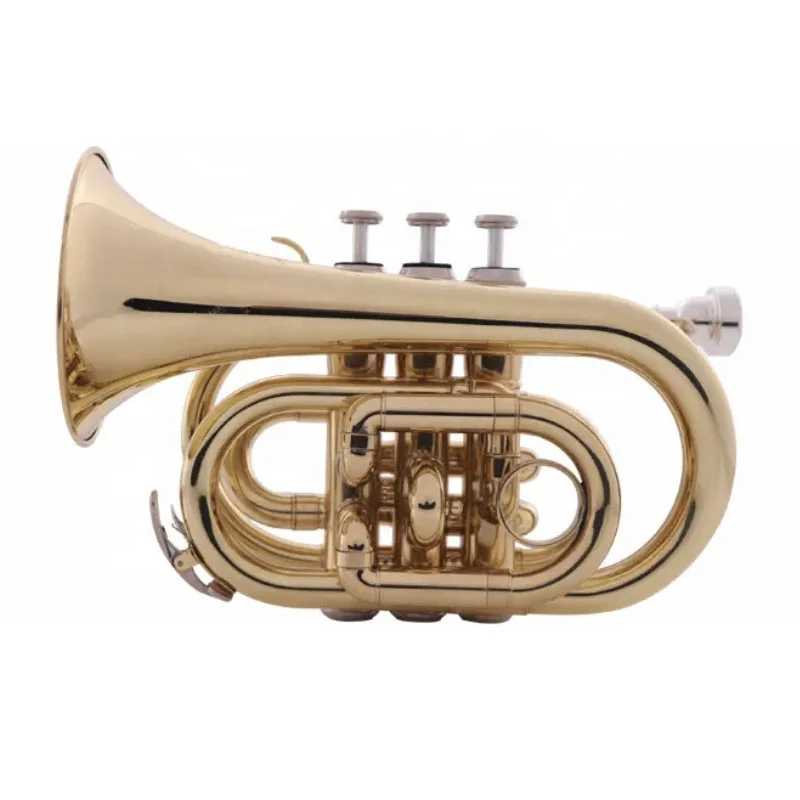 Cheaper price OEM manufacture gold lacquered student model pocket trumpet
