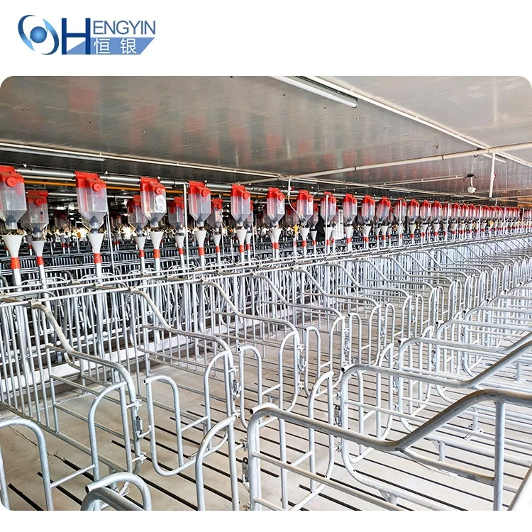 Factory Price Farrowing Crate Pig Gestation Crate Sow House sow gestation cage