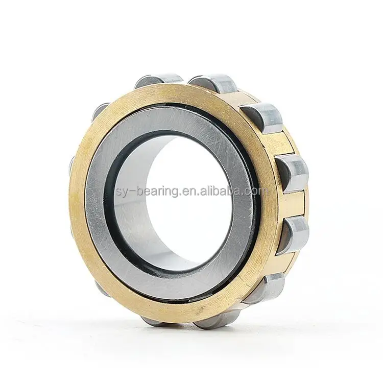 Eccentric Bearing (46)
