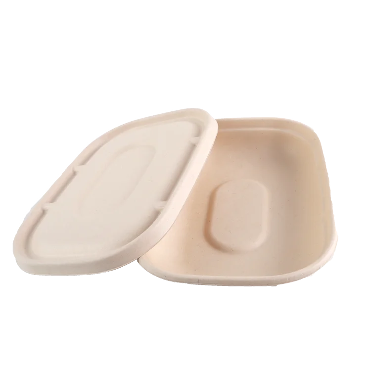 Eco-friendly and hygienic lunch boxes Disposable plastic food packaging box hamburger container desert packaging