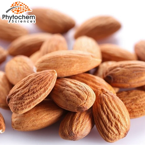 
 Эффективное противовоспалительное средство для улучшения пищеварения от кашля по лучшей цене, экстракт семян Горького абрикоса  