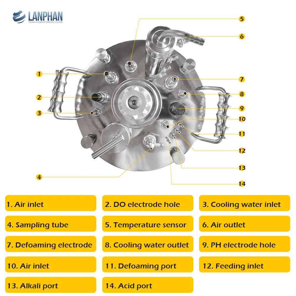Laboratory small glass airlift bioreactor fermenter 3L 5L 10L bench top bioreactors