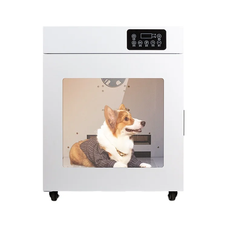 CW-005 Promtional ODM Ozone and Anion Disinfection for Business and Household Users Pet Hair Dryer Dog