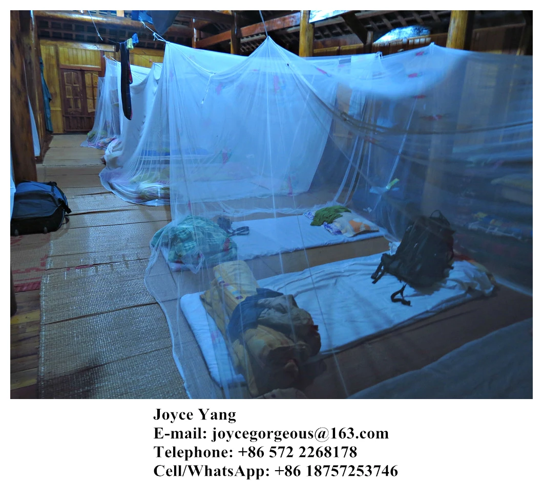 Low Price Long Lasting Insecticide Treated Mosquito Nets/Export to Uganda Africa/ WHO approved mosquito net