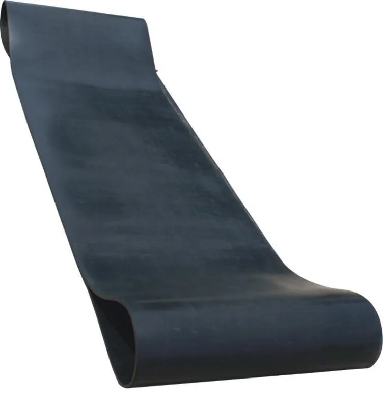 Vulcanization Conveyor Belt For Quarry/Foundry/Steel Works/Power Stations/Coal Mines