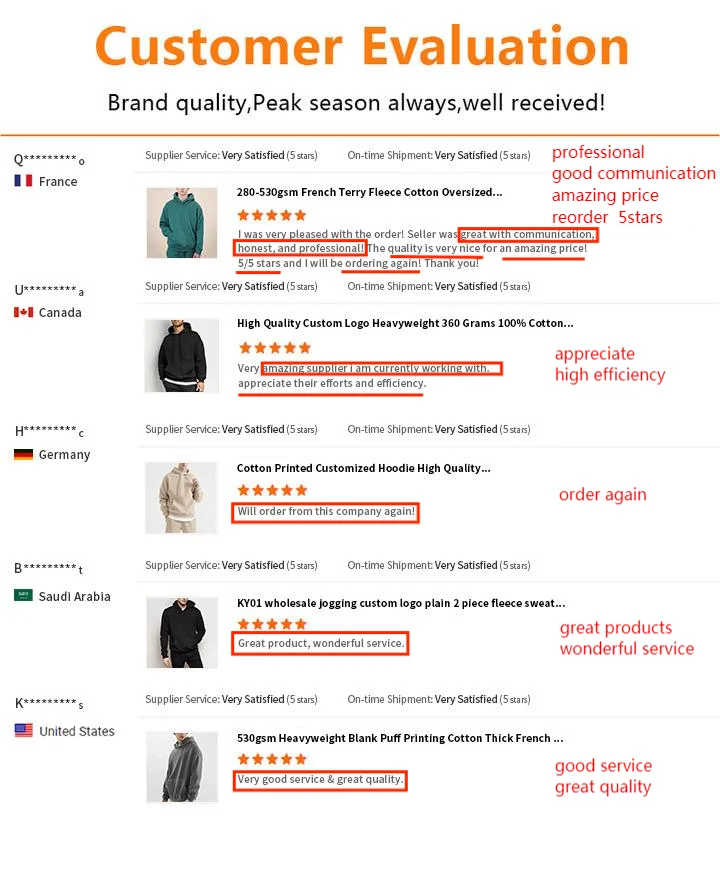 Puff Printing 100% Cotton Thick Heavyweight Hoodie Custom Drop Shoulder Fleece Oversized French Terry Pullover Hoodies Men